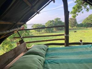 アヌラーダプラにあるJungle Tree Hut Anuradhapura Sri Lankaの野原を望むテント内側からの眺め