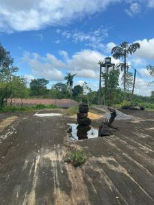 Příroda nedaleko hotelu