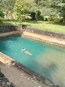 Bazén v ubytování GS Eco-Resort nebo v jeho okolí