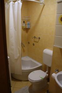 Un baño con ducha, inodoro y bañera. en Apartment RENA - private parking, en Sarajevo 14 fotos más