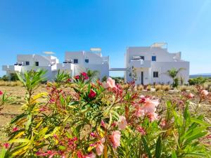 un grupo de casas blancas con flores rosas en Saint Nicholas Houses, en Kefalos