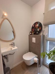 een badkamer met een toilet, een wastafel en een spiegel bij Échappée Alsacienne in Illzach +16 foto's