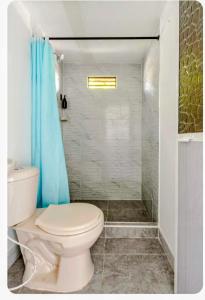 ヒラルドットにあるhotel Air b&b altos del peñonのトイレとシャワー付きのバスルーム