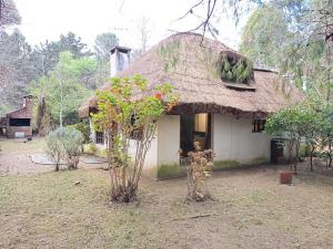 Casa Quincho en el Bosque في بونتا دل إستي: منزل صغير بسقف من القش