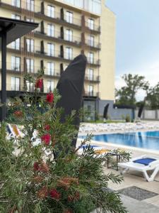 a christmas tree sitting next to a swimming pool at The West Inn-Georgia Hotel in Kutaisi