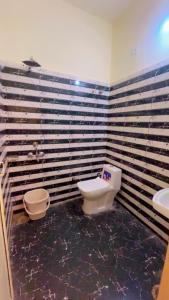 RoorkeeにあるMaharaja hotel and dhabaのトイレと洗面台のあるバスルーム