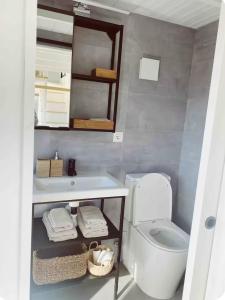 a bathroom with a white toilet and a sink at Tiny House in Pereiro