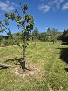 Φωτογραφία από το άλμπουμ του Maison Cosy σε Prat-et-Bonrepaux