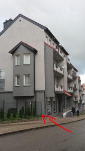 un gato negro parado frente a un edificio en Przy Amfiteatrze, en Kętrzyn