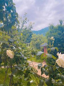 Φωτογραφία από το άλμπουμ του Green Garden Resthouse σε Dilijan