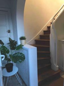 a staircase with a plant and a white stair case at Agréable appartement in Bobigny