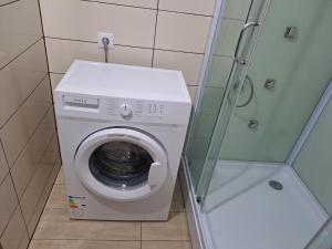 a washing machine in a bathroom with a shower at Studio One in Făgăraş