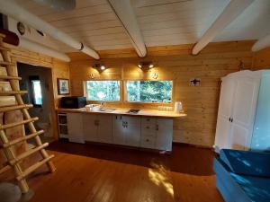 a kitchen with a sink and a refrigerator in a cabin at Cicha Strzała 