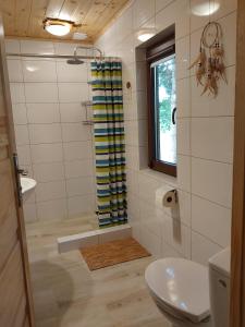 a bathroom with a shower with a toilet and a window at Cicha Strzała 