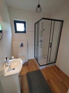 a bathroom with a shower and a sink and a toilet at Malëna Mausz in Parchowo