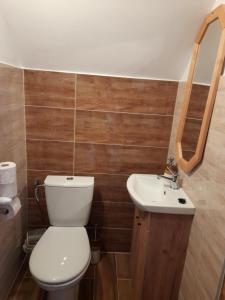 a bathroom with a toilet and a sink at Domki nad Borem in Male Ciche +12 photos
