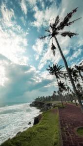 una palmera sentada en la cima de una colina junto al océano en villa mud apples, en Varkala