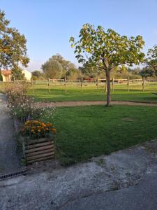 Κήπος έξω από το Hebergement calme et verdoyant