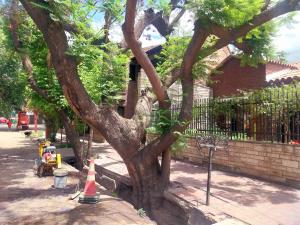 Zahrada ubytování Cuarta este + 4 fotografie