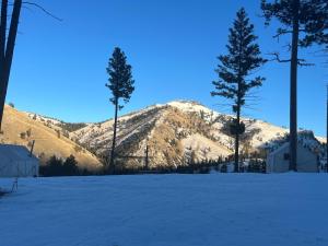 a mountain in the distance with snow and trees at Tent 2 Oxen-Le-Fields Montana in Conner