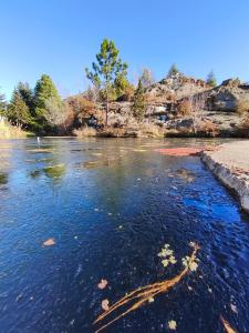 een rivier met bladeren in het water bij Village in La Cumbrecita
