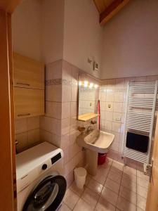 プレダッツォにあるAppartamento Genzianaのトイレと洗面台のある小さなバスルーム