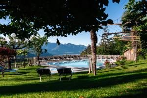 twee stoelen in het gras naast een zwembad bij Residence Tannhof in Caldaro
