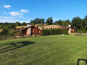 um grande quintal com uma casa e uma cerca em 7 kruna Žiče em Žiča