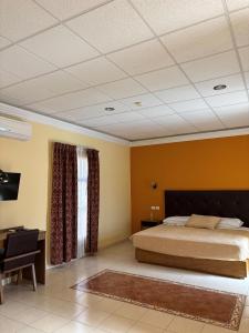 een slaapkamer met een bed, een bureau en een stoel bij Hotel San Rafael in Querétaro