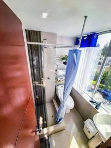 a bathroom with a shower and a toilet and a window at Hotel Suite Los Inkas en Arequipa in La Pampilla