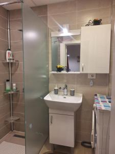 Ένα μπάνιο στο S&SApartment +21 φωτογραφίες