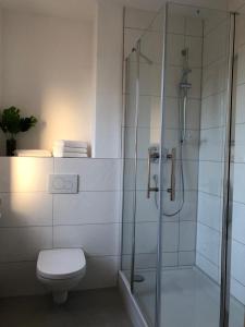 a bathroom with a toilet and a glass shower at Pension Zollhaus in Oy-Mittelberg