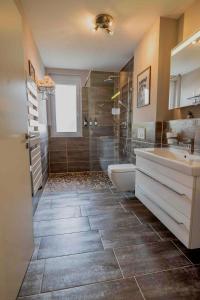 a bathroom with a shower and a sink and a toilet at Modernes Apartment - Basel, Kur & Golf in Bad Bellingen
