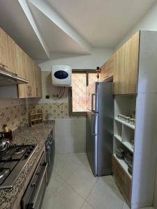 Η κουζίνα ή μικρή κουζίνα στο Appartement