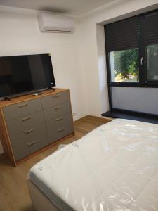 Afbeelding uit fotogalerij van Inesaris Luxury Apartment in Giurgiu