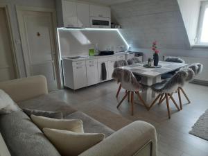 Kuchyň nebo kuchyňský kout v ubytování Sarkcsillag Vendégház