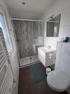 ein Badezimmer mit Dusche, Toilette und Waschbecken in der Unterkunft Natuurhuisje Hellendoorn in Haarle