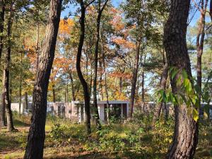 ein Gebäude inmitten eines Waldes mit Bäumen in der Unterkunft Natuurhuisje Hellendoorn in Haarle