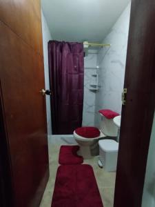 een badkamer met een toilet en een paarse douche bij Apartment in Bogotá in Bogota