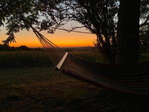 a hammock hanging from a tree with a sunset in the background at Domaine Labatut in Tourrenquets