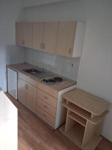 Kuchyň nebo kuchyňský kout v ubytování Apartman Tadija