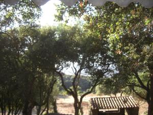 a picnic table sitting under trees in a field at Maisonnette du berger de Croccano in Sartène +7 photos