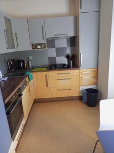 Kuchyň nebo kuchyňský kout v ubytování Flat Břeclav City Center + 1 fotografie