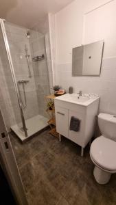 a bathroom with a shower and a toilet and a sink at Champvans centre - Appartement calme et tout confort en plein centre du village in Champvans +14 photos
