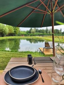 a table with a plate and an umbrella and a pond at Black Pearl in Hamme +12 photos