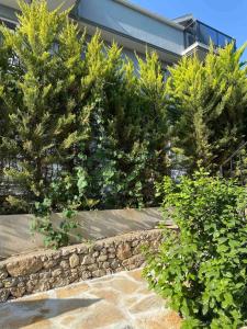 a row of trees in front of a building at Deka apartments 5 in Fethiye