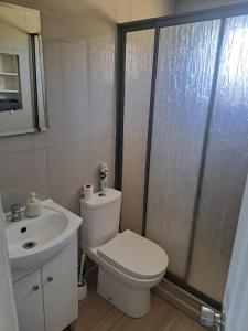 a bathroom with a toilet and a sink and a shower at Cabaña recinto Super vista, WIFI con terraza1 in San Antonio