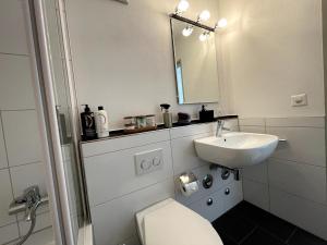 Un baño con lavabo, inodoro y espejo. en Relax Paradise in Bad Zurzach, en Bad Zurzach 33 fotos más