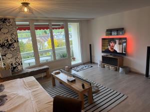 Una sala de estar con un sofá y un televisor. en Relax Paradise in Bad Zurzach, en Bad Zurzach