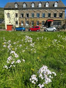 Zahrada ubytování Ferienhaus Löwenherz